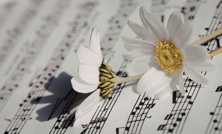 letra do hino 336 da harpa